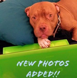 New photos added to existing listings!